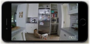nest-indoor-security-cam-room-monitoring