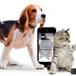 internet-of-things-pets