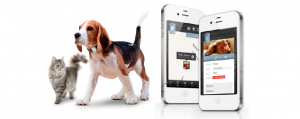 iot-pet-tracking-products