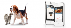 iot-pet-tracking-products