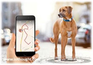 iot-pet-tracking-technology