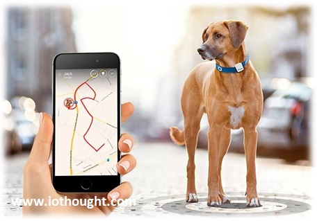 The Smart Dog Collar - An IoT Innovation for Pets