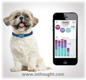 pet-tracking-technology-iot-products